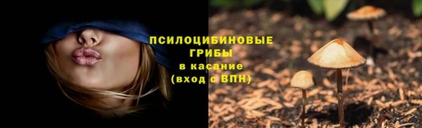 прущая мука Надым