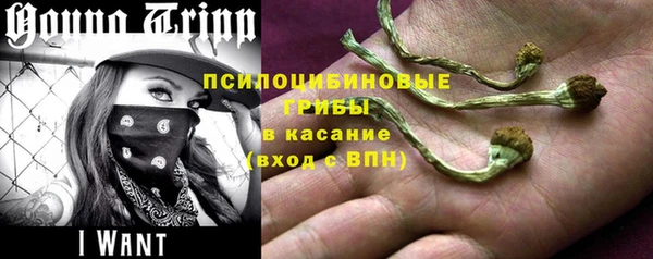 прущая мука Надым