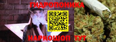 спайс Гатчина