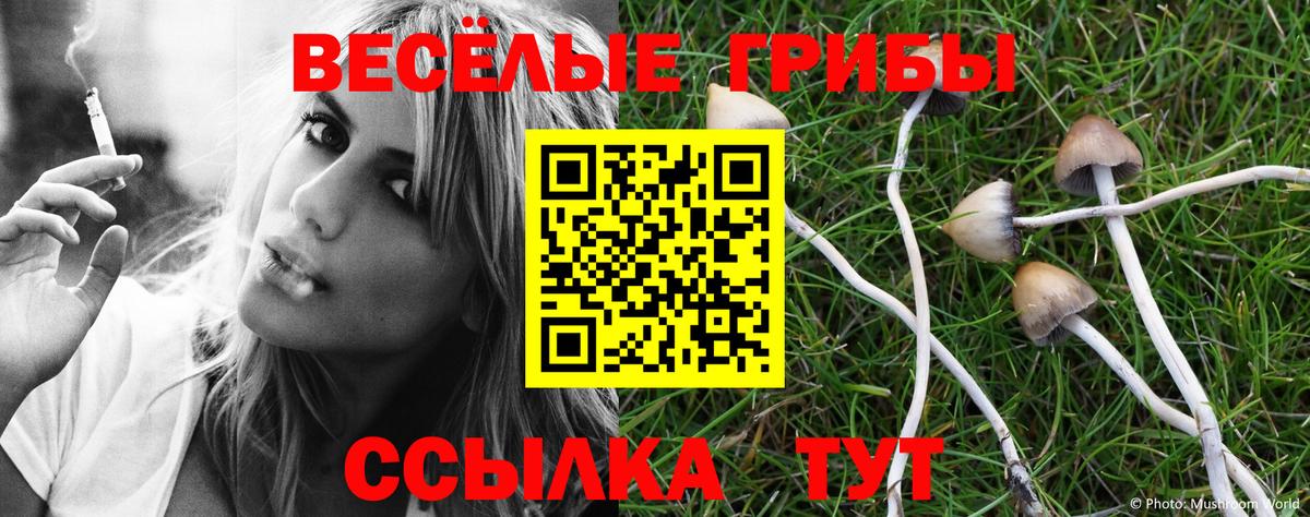 Псилоцибиновые грибы Psilocybine cubensis  Галлюциногенные грибы ЛСД  где найти   Гусь-Хрустальный 