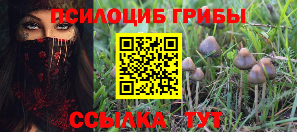Галлюциногенные грибы прущие грибы Гусь-Хрустальный