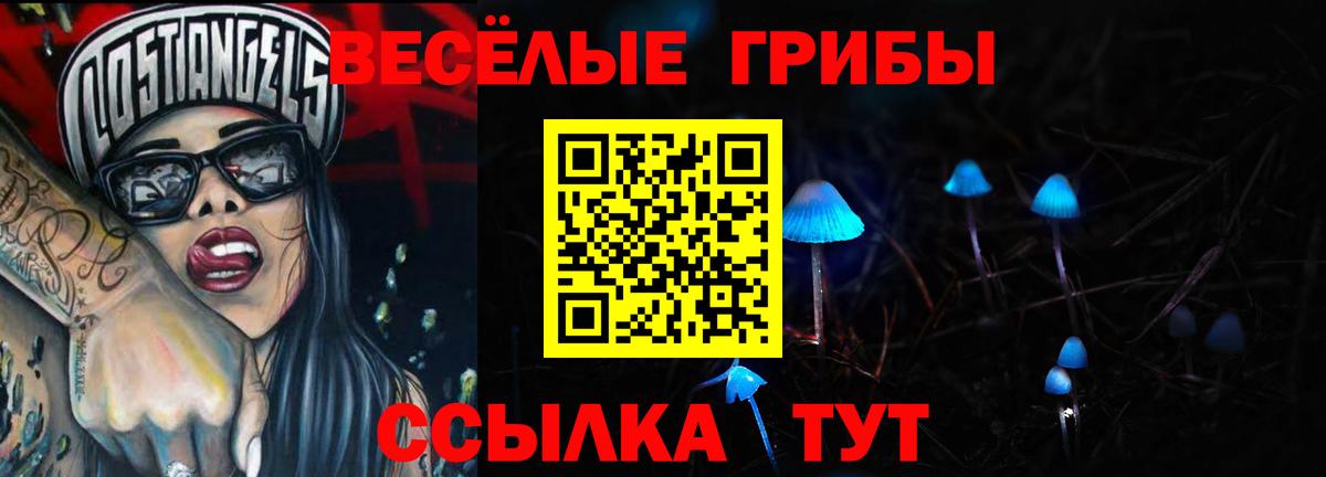 Гусь-Хрустальный  Галлюциногенные грибы Psilocybine cubensis  Вход с VPN  Галлюциногенные грибы ЛСД 